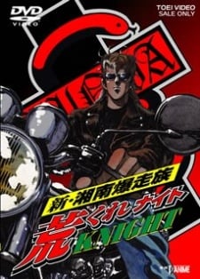 新·湘南暴走族 荒野騎士