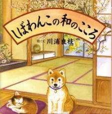 柴犬阿旺的和式生活