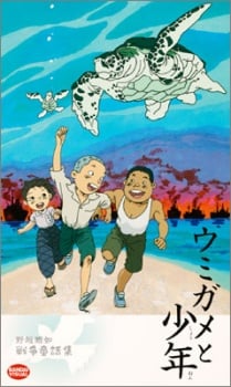 海龟与少年
