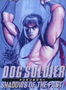 野犬奇兵