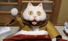 コタツネコ