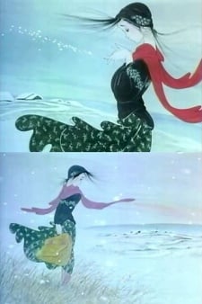 白色的道路
