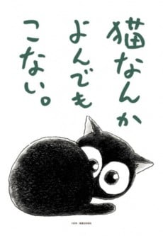 为什么猫都叫不来