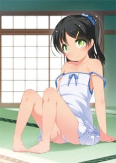 Ichinen Buri no THE ANIMATION