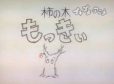 柿の木もっきぃ