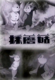 采蘑菇