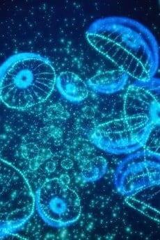 深海の虹