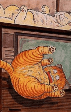 猫怪麦克