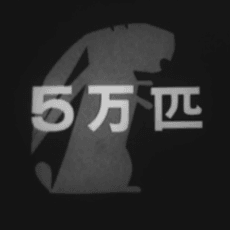 5万匹