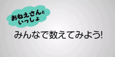 フカシギの数え方