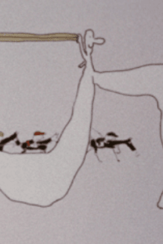 ながいなさんとはやいなさん