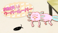 奇幻魔法Melody Sukkiri♪