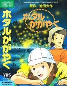 闪耀的萤火虫