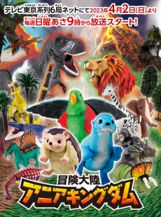 冒险大陆 安利亚王国