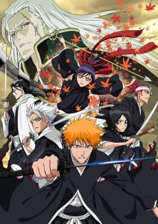 BLEACH: MEMORIES OF NOBODY