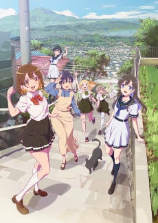 亦叶亦花