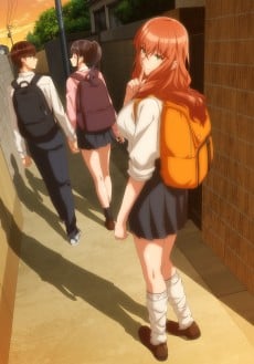 女友的朋友