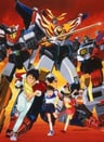 Taiyou no Yuusha Fighbird