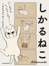 Shikaruneko