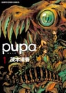 pupa