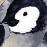 夏目靫子