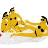 Xinxin Liu