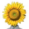 Kei Fujishima