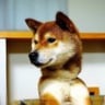 笠井雄太