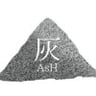 Arata Hirasaka